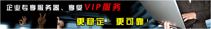 企業(yè)型主機