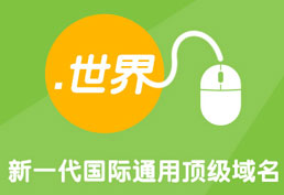 .世界中文域名注冊